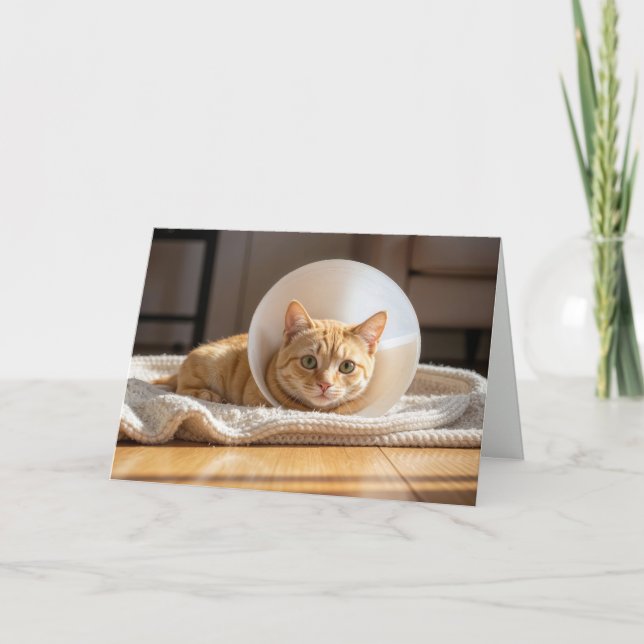 Pet Get Well Ginger Cat Wearing a Cone of Shame Kort (Framsida)