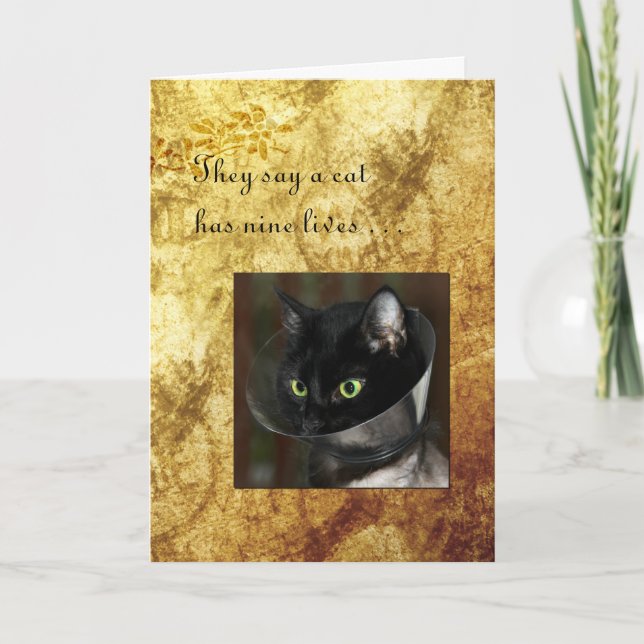 Pet Get well med Black Cat Kort (Framsida)