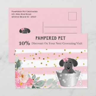 Pet Groomer Puppy i Tub Marknadsföring vykort