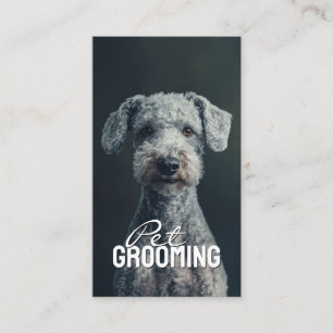 Pet Groomer Salon Care Bedlington Terrier Porträtt Visitkort