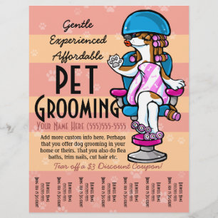 Pet Grooming. Anpassade för främjande i östra laka Reklamblad