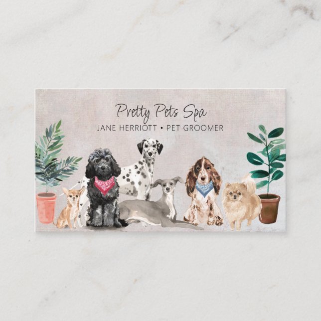 Pet Grooming Pet Spa Visitkort (Framsida)