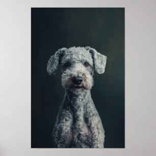 Pet Grooming Salon Bedlington Terrier Porträtt Poster