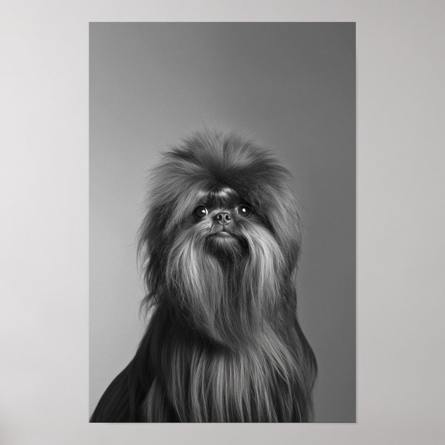 Pet Grooming Salon Boutique Affenpinscher Porträtt Poster (Framsidan)
