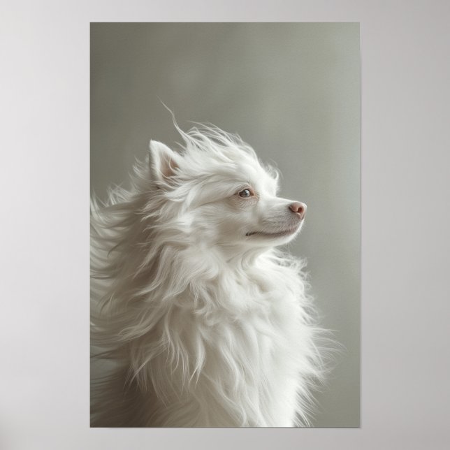 Pet Grooming Salon Boutique Spitz Porträtt Poster (Framsidan)