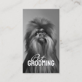 Pet Grooming Salon Care Affenpinscher Porträtt Visitkort