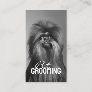 Pet Grooming Salon Care Affenpinscher Porträtt Visitkort