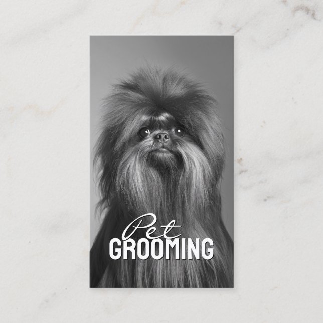Pet Grooming Salon Care Affenpinscher Porträtt Visitkort (Framsida)