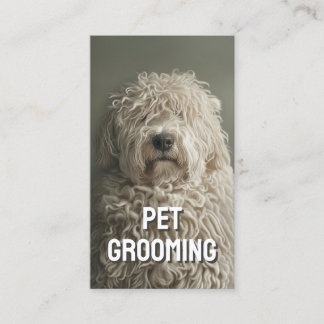 Pet Grooming Salon Care Boutique Komondor Porträtt Visitkort