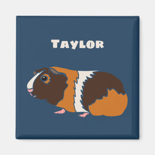 Pet Guinea Grisar Illustration Personlig Magnet