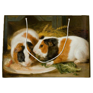 Pet Guinea Grisar Matande (av James Ward)