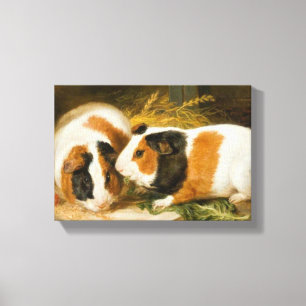 Pet Guinea Grisar Matande (av James Ward) Canvastryck
