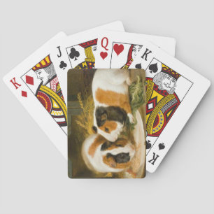 Pet Guinea Grisar Matande (av James Ward) Casinokort