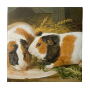 Pet Guinea Grisar Matande (av James Ward) Kakelplatta