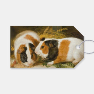 Pet Guinea Grisar Matande (av James Ward) Presentetikett