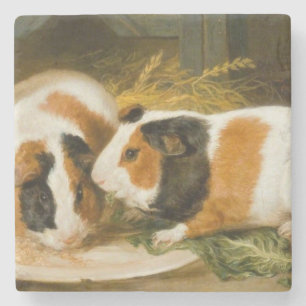 Pet Guinea Grisar Matande (av James Ward) Stenunderlägg