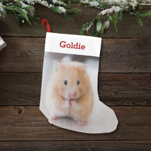Pet Hamster Älskare Photo & Namn Personlig Liten Julstrumpa