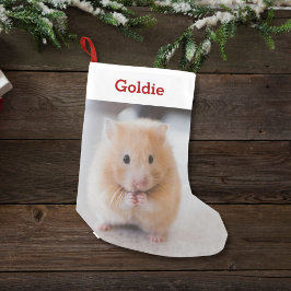 Pet Hamster Älskare Photo & Namn Personlig Liten Julstrumpa