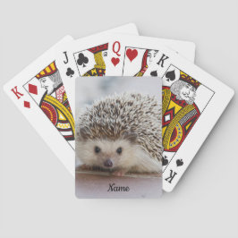 Pet Hedgehog Casinokort