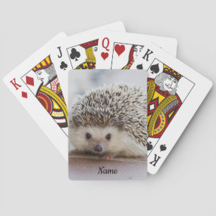 Pet Hedgehog Casinokort