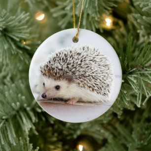 Pet Hedgehog Julgransprydnad Keramik