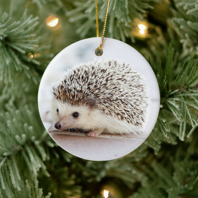Pet Hedgehog Julgransprydnad Keramik (Träd)