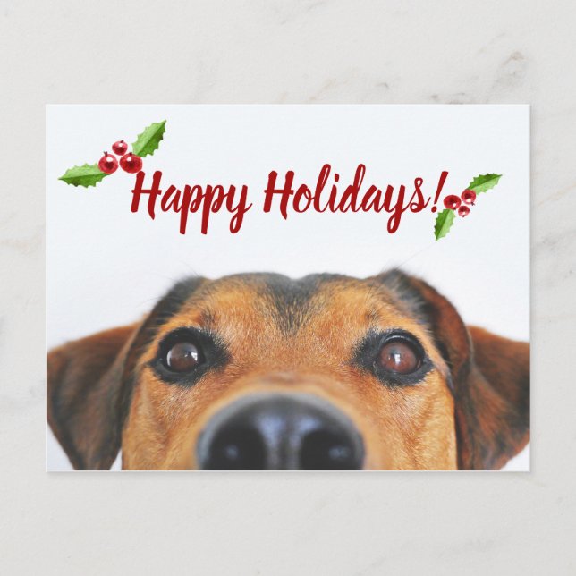 Pet Helgdag Photo Helg Vykort (Framsida)