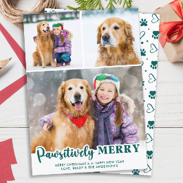 Pet Hund 3 Photos Personalzied Pawsitively Merry Julkort