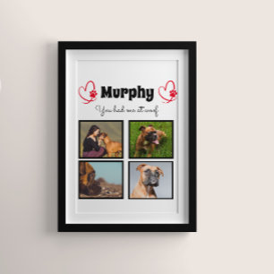 Pet hund älskare 4-fotokollage har anpassats poster