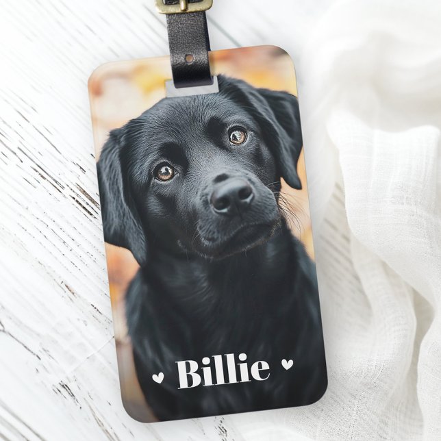 Pet hund cat-foto namn-hjärtan bagagebricka (Pet dog cat photo name hearts luggage tag)
