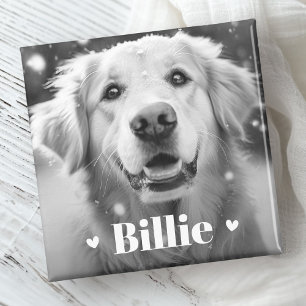 Pet hund cat namn hjärtan magnet