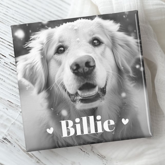 Pet hund cat namn hjärtan magnet (Pet dog cat name hearts magnet)