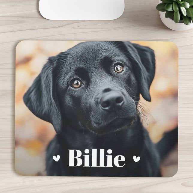 Pet hund cat namn hjärtan musmatta (Pet dog cat name hearts mouse pad)
