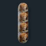 Pet-Hund Cat Photo Anpassningsbar - tabellmall Mini Skateboard Bräda 18,5 Cm<br><div class="desc">Den här designen kan vara personlig i det område som tillhandahålls genom att ändra fotot och/eller text. Eller så kan den anpassas genom att klicka för att anpassa ytterligare alternativ och ta bort eller ändra färgen på bakgrunden, lägga till text, ändra texten färg eller stil eller ta bort texten för...</div>