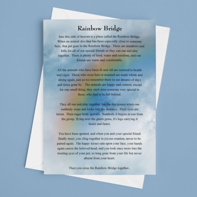 Pet Hund Cat Rainbow Bridge Sympathy Kort (Skapare uppladdad)