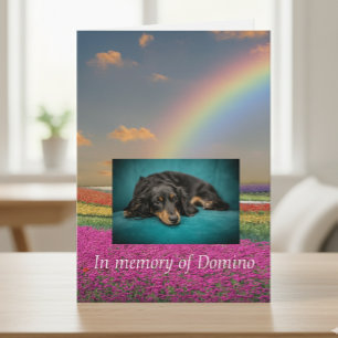 Pet Hund Cat Rainbow Bridge Sympathy Photo Anpassn Kort