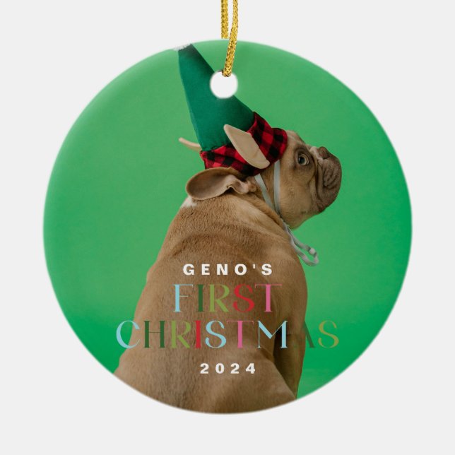 Pet Hund första julfoto Ornament (Framsidan)