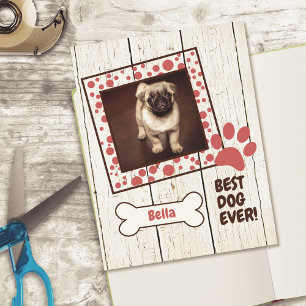 Pet Hund Girl Photo Scrapbook Cardstock Papper