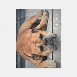 Pet Hund Knubbig Continental Bulldog Fleecefilt