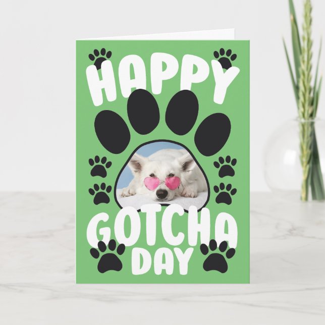 Pet Hund, lycklig Gotcha-dagen Kort (Framsida)