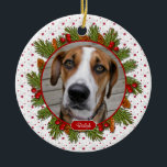 Pet Hund Memorial Gräs Boughs Holly Photo jul jul Julgransprydnad Keramik<br><div class="desc">Det är enkelt att anpassa texten och fotot på den här lilla hund till minnessymbolen Julfoto (rund form). De röda och grönt gräs-boughs, gräs-cones och hullbär på röd och vit mönster-bakgrund gör detta till en söt och traditionell "till minne av" Julafton julprydnad. På baksidan kan du anpassa den med namn...</div>