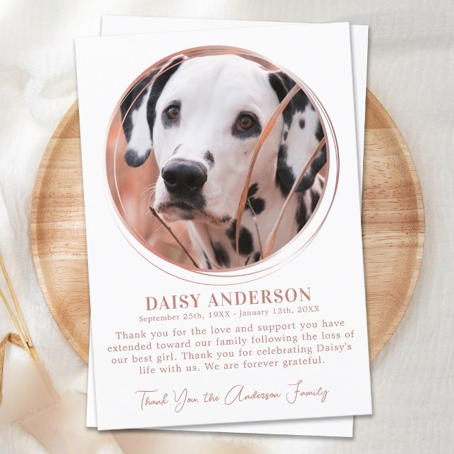 Pet Hund Memorial Ro Guld Anpassningsbar Photo Sym Tack Kort (Skapare uppladdad)