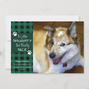 Pet Hund Naughty and Nice Grönt Black Play Julkort