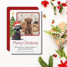 Pet Hund One Photo pudel och Julgran