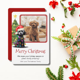 Pet Hund One Photo pudel och Julgran Julkort