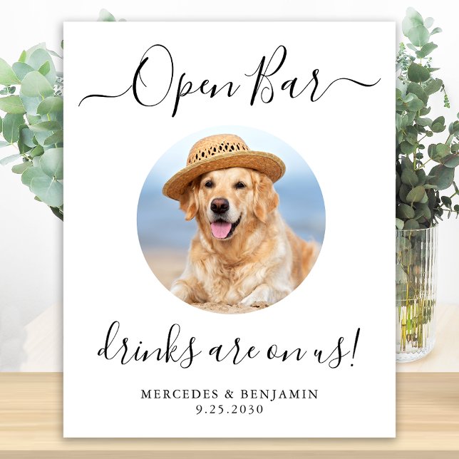 Pet Hund Open Pub Personlig drar på oss Poster (Skapare uppladdad)