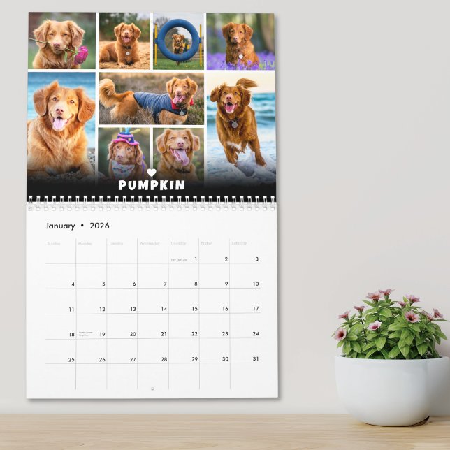 Pet Hund Photo Collage Kalender (Pet Dog Photo Collage Calendar)