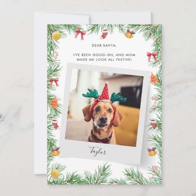 Pet Hund Photo Naughty eller Nice Anpassningsbar j Julkort (Framsida)