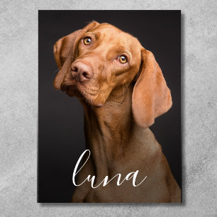 Pet Hund Photo Personlig Namn Poster