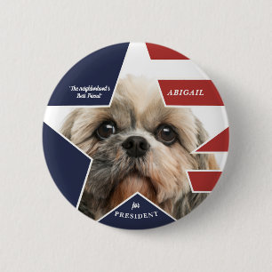 Pet Hund Photo Presidentval 2024 Kandidat Knapp